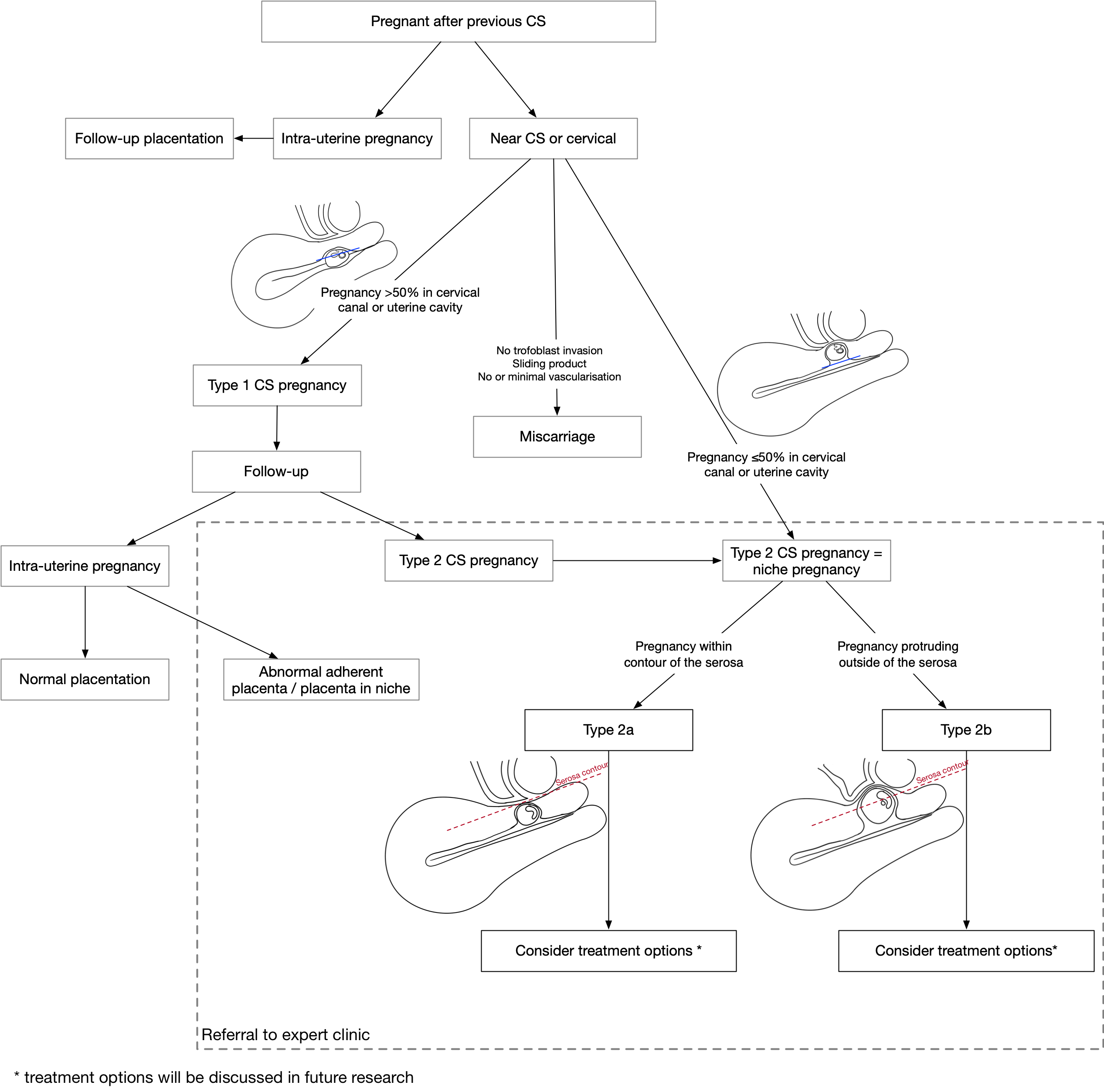 Niche pregnancy and niche measurement in pregnancy – Research Survey